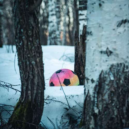 Photo #13690119