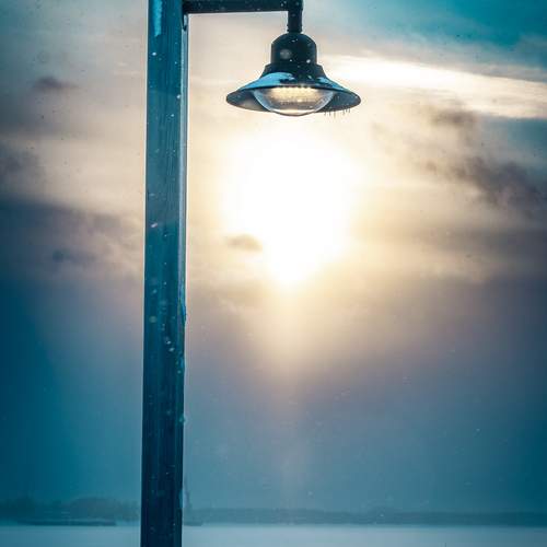Photo #13690138