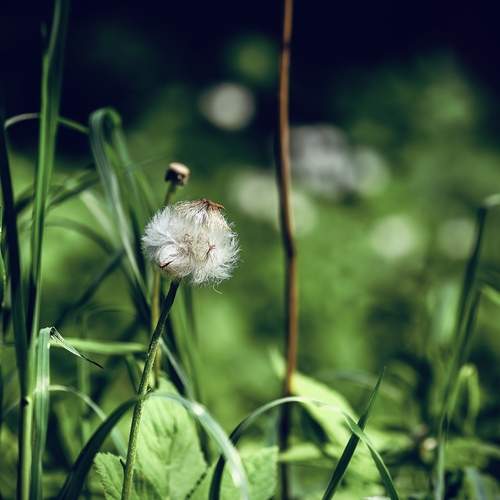 Photo #13690150