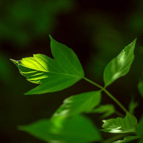 Photo #13690152