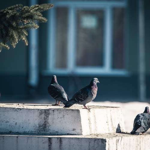 Photo #13690185