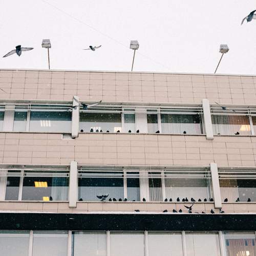 Photo #13690186