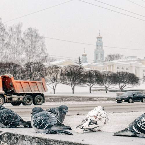 Photo #13690187