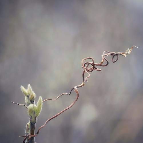Photo #13690217