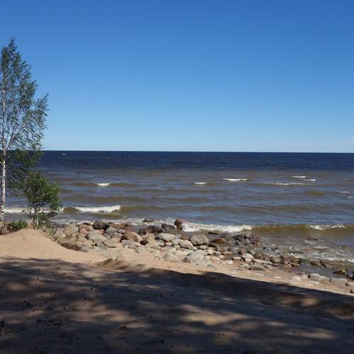 Photo #13690223