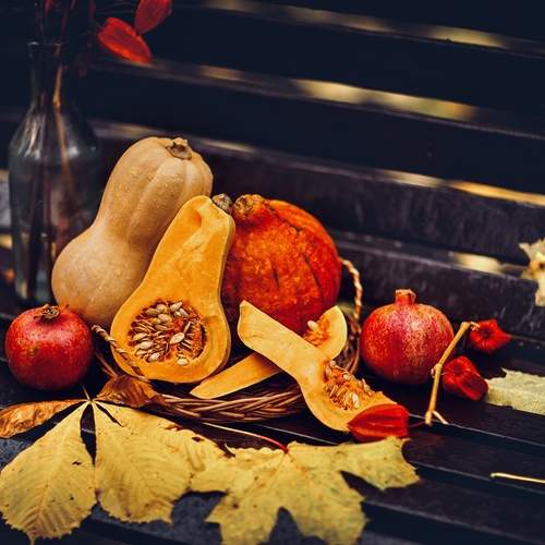 Photo #13690237