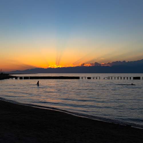 Photo #13690266