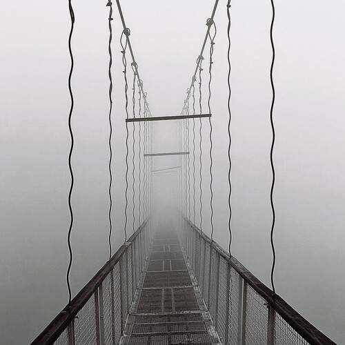 Photo #13690384