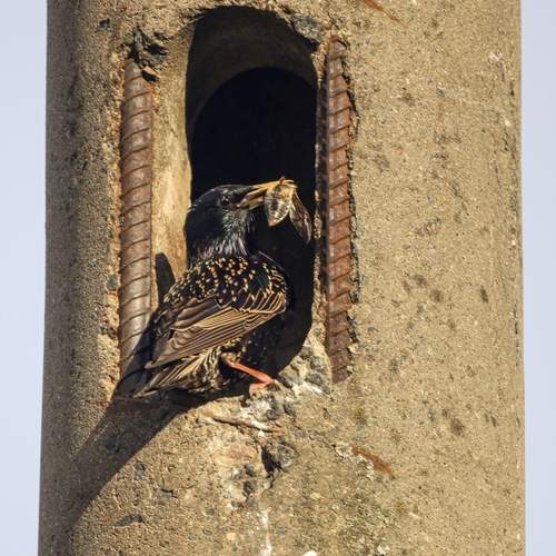 Photo #13690406