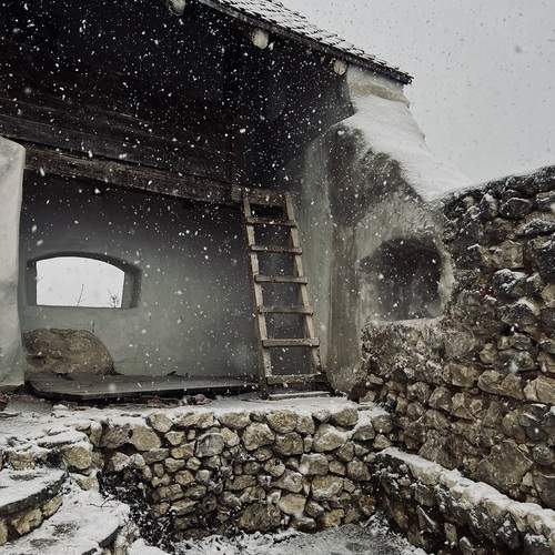 Photo #13690417