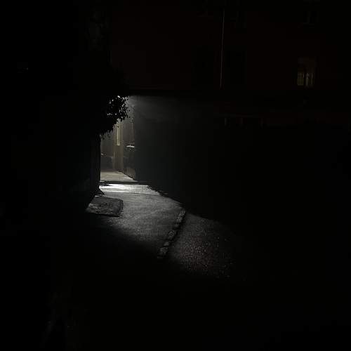 Photo #13690436