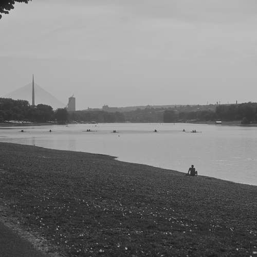 Photo #13690449