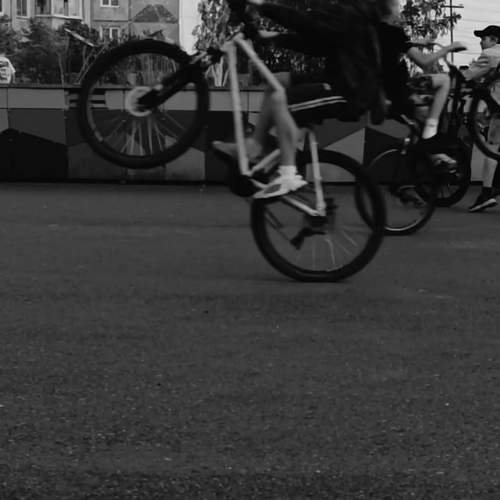Photo #13690473