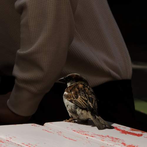 Photo #13690521
