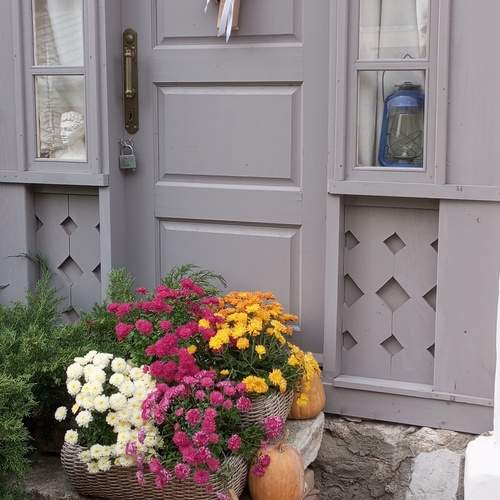 Photo #13690537