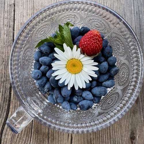 Photo #13690541