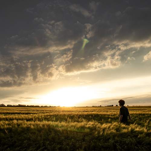 Photo #13690569