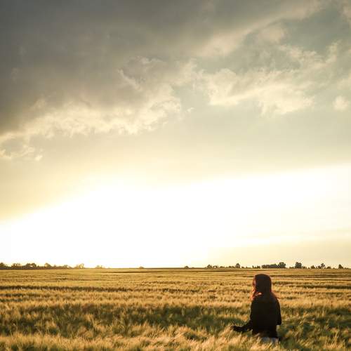 Photo #13690570