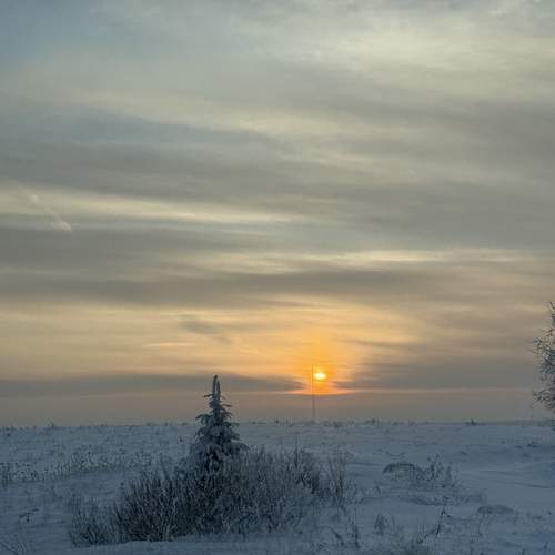 Photo #13690616