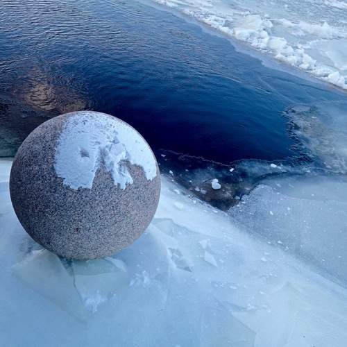 Photo #13690652