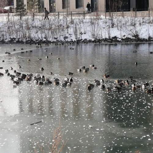 Photo #13690721