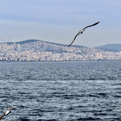 Photo #13690723