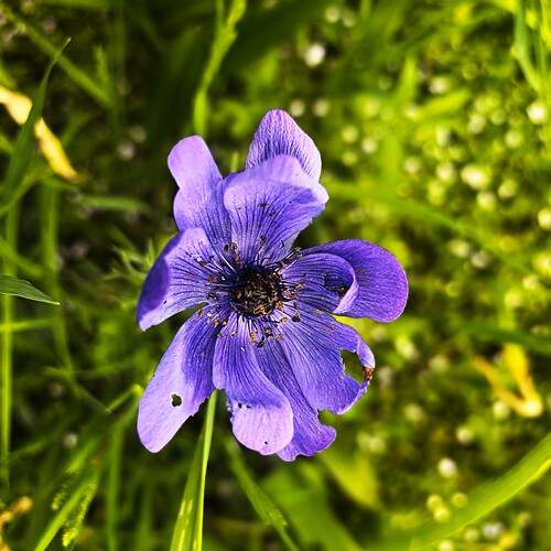 Photo #13690729