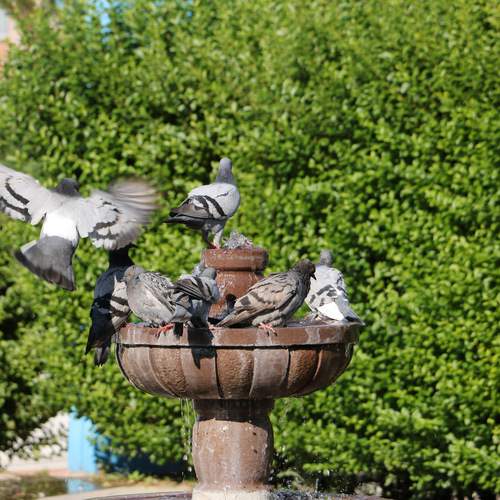 Photo #13690735