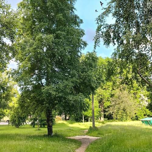 Photo #13690768