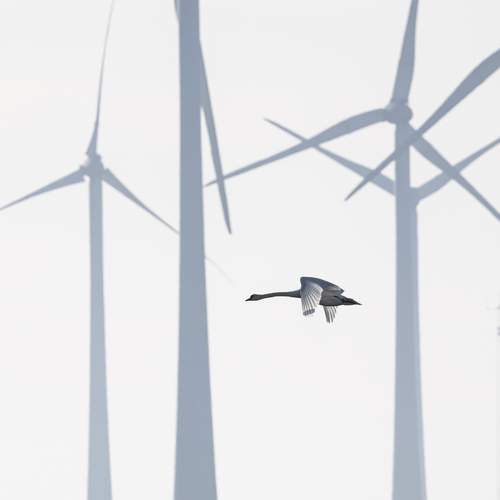 Photo #13690778