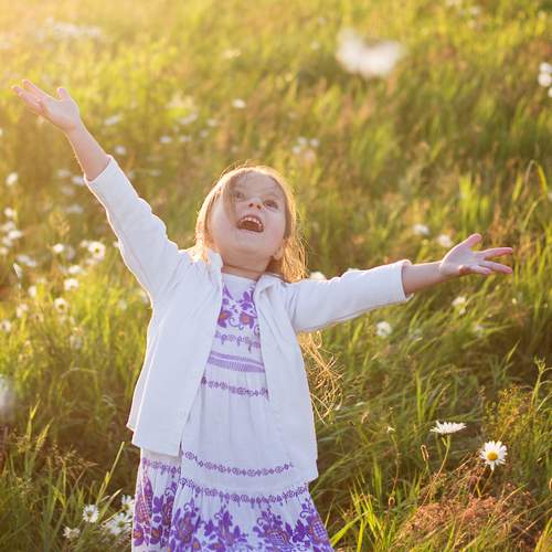 Photo #13690803