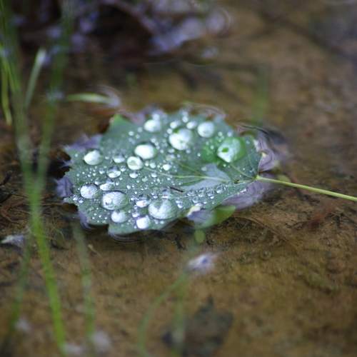 Photo #13690804