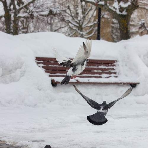 Photo #13690805