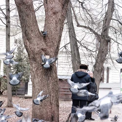 Photo #13690806