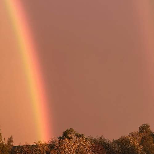 Photo #13690820