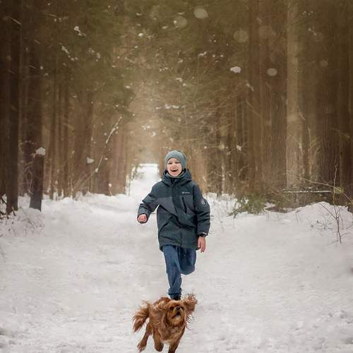 Photo #13690830