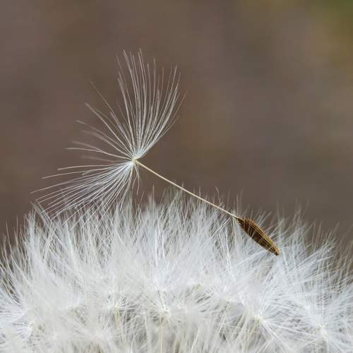 Photo #13690894