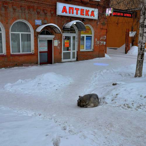 Photo #13690931