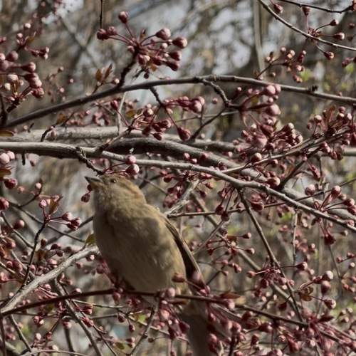 Photo #13690944