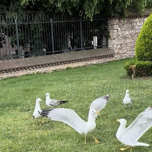 Photo #13690945