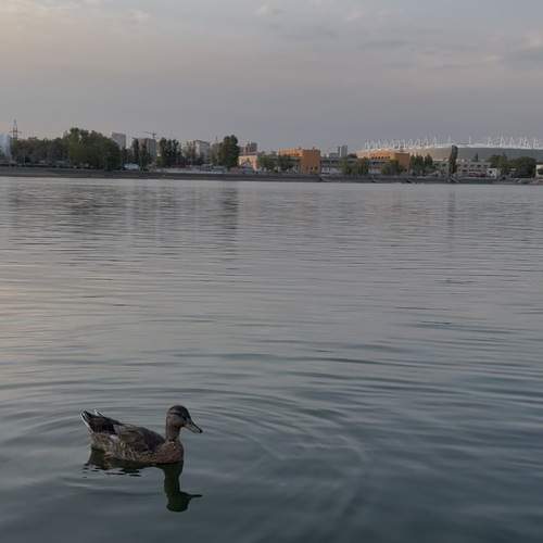 Photo #13690947