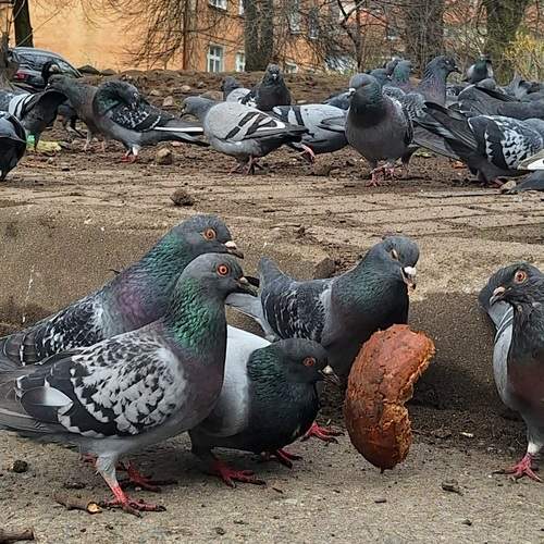 Photo #13690949