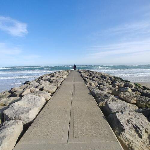 Photo #13690972