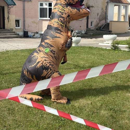 Photo #13690979