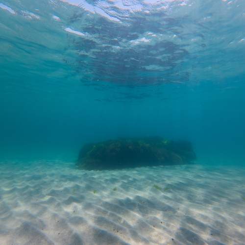 Photo #13690990