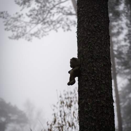 Photo #13690997
