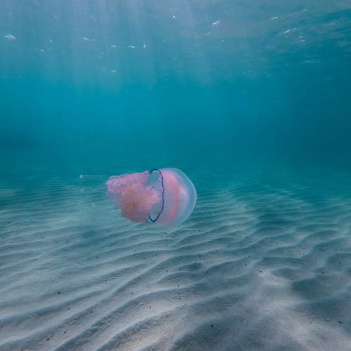 Photo #13691006