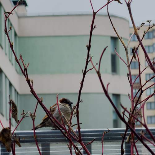 Photo #13691032