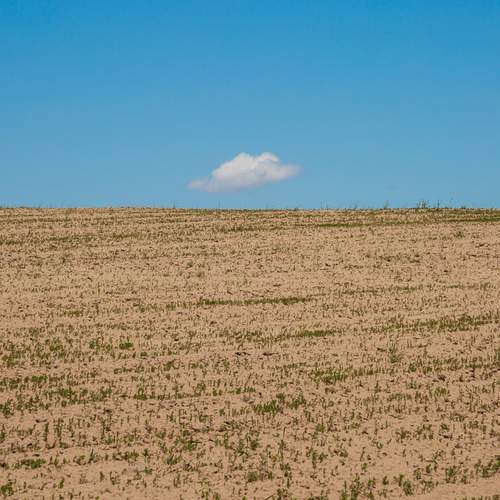 Photo #13691069