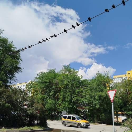Photo #13691077